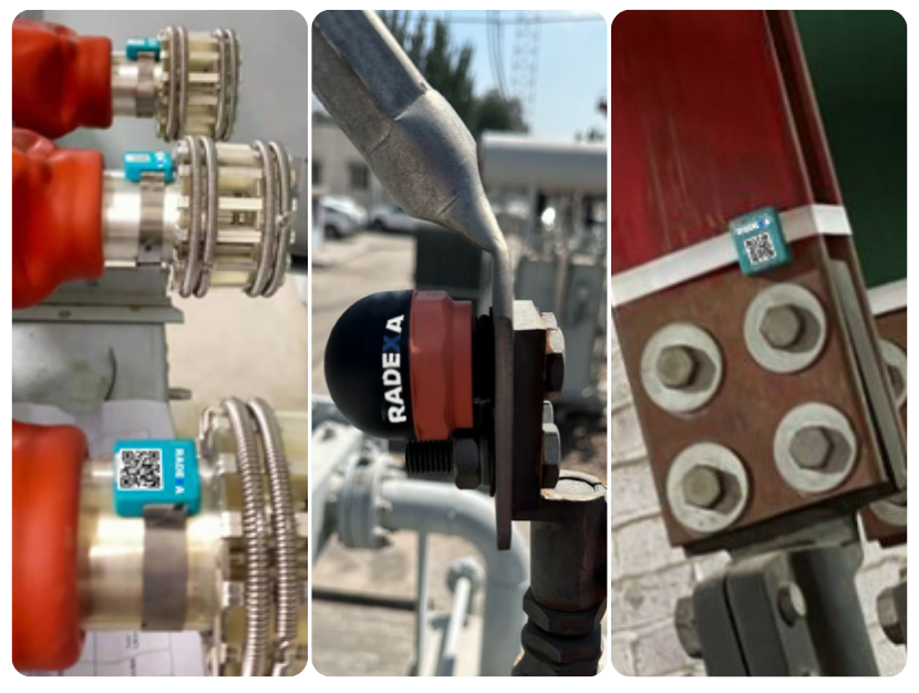 Sensor RADEXA